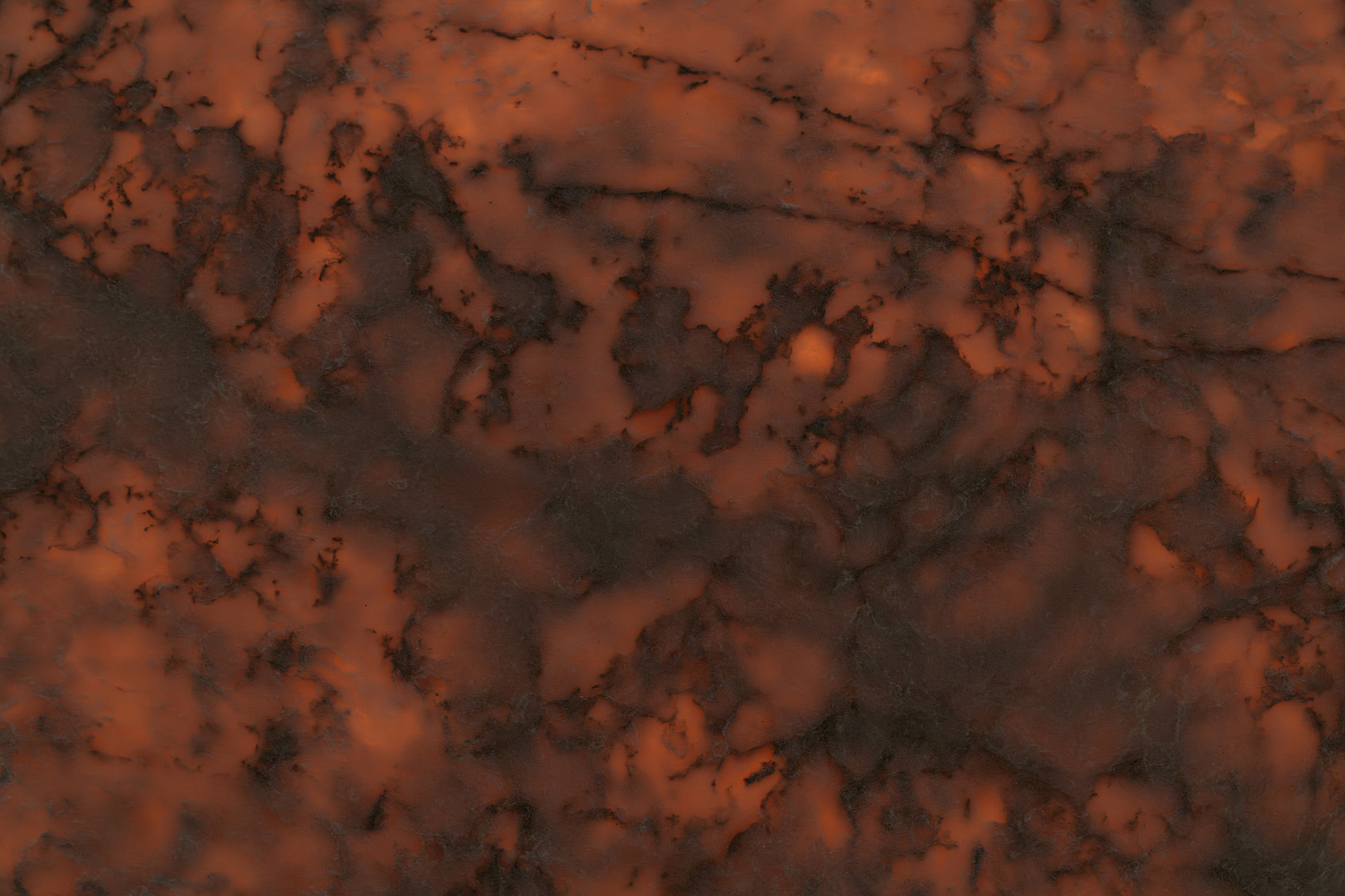 Quantra Quartz Cygnus Divine 9510